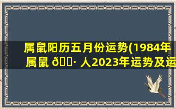 属鼠阳历五月份运势(1984年属鼠 🌷 人2023年运势及运程)